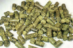 Alfalfa Pellets  Made in Korea